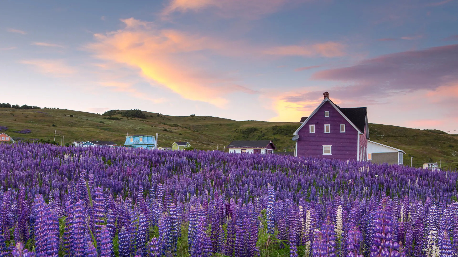 Maison colorée des Îles de la Madeleine
